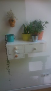 Detalles mexicanos en el Cometa